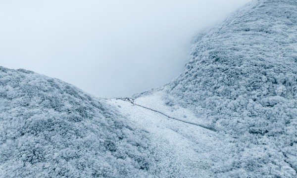 金佛山初雪来了，重庆人可以约着玩雪了！